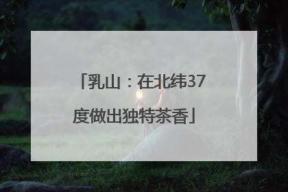 乳山：在北纬37度做出独特茶香