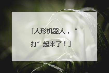 人形机器人，“打”起来了！