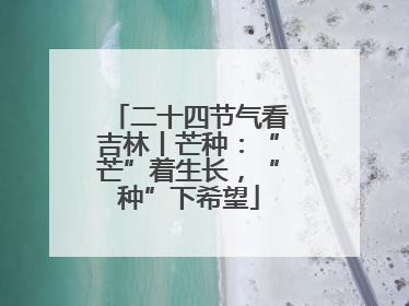 二十四节气看吉林丨芒种：“芒”着生长，“种”下希望