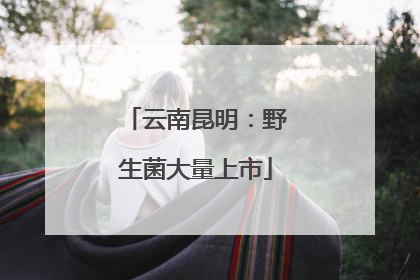 云南昆明：野生菌大量上市