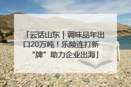 云话山东｜调味品年出口20万吨！乐陵连打新“牌”助力企业出海