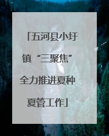 五河县小圩镇“三聚焦”全力推进夏种夏管工作