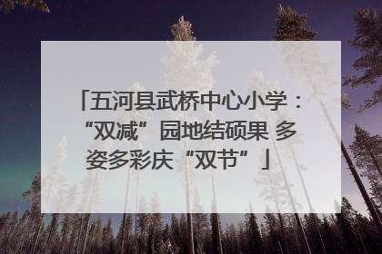 五河县武桥中心小学：“双减”园地结硕果 多姿多彩庆“双节”
