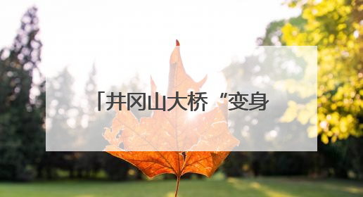 井冈山大桥“变身”进行时：拆旧建新同步推进 多举措保障汛期施工（图）