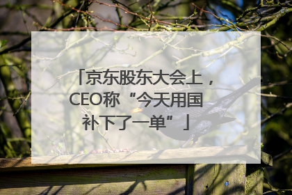 京东股东大会上，CEO称“今天用国补下了一单”
