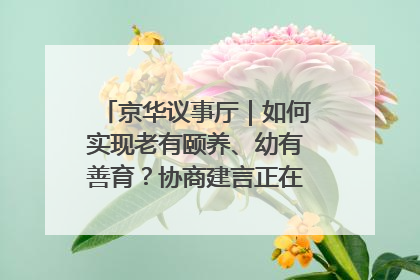 京华议事厅｜如何实现老有颐养、幼有善育？协商建言正在进行中……