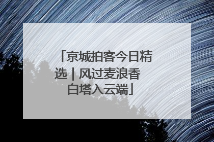 京城拍客今日精选｜风过麦浪香 白塔入云端