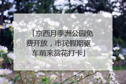 京西月季洲公园免费开放，市民假期驱车前来赏花打卡
