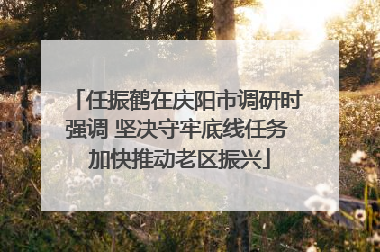 任振鹤在庆阳市调研时强调 坚决守牢底线任务 加快推动老区振兴