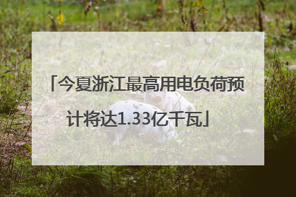 今夏浙江最高用电负荷预计将达1.33亿千瓦