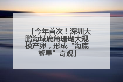 今年首次！深圳大鹏海域鹿角珊瑚大规模产卵，形成“海底繁星”奇观