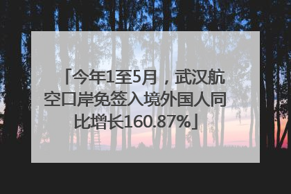 今年1至5月，武汉航空口岸免签入境外国人同比增长160.87%
