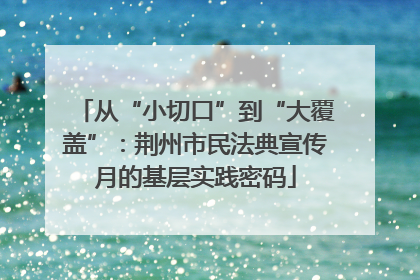 从“小切口”到“大覆盖”：荆州市民法典宣传月的基层实践密码