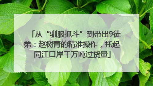 从“驯服抓斗”到带出9徒弟：赵树青的精准操作，托起同江口岸千万吨过货量