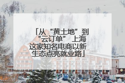从“黄土地”到“云订单” 上海这家知名电商以新生态点亮就业路