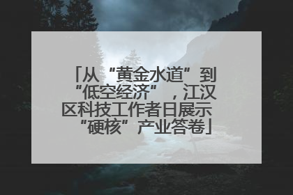 从“黄金水道”到“低空经济”，江汉区科技工作者日展示“硬核”产业答卷