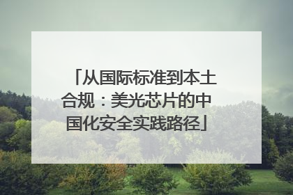从国际标准到本土合规：美光芯片的中国化安全实践路径