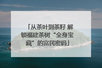 从茶叶到茶籽 解锁福建茶树“全身宝藏”的富民密码