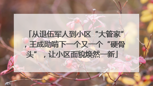 从退伍军人到小区“大管家”，王成勋啃下一个又一个“硬骨头”，让小区面貌焕然一新
