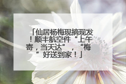 仙居杨梅现摘现发！顺丰航空件“上午寄，当天达”，“梅”好送到家！