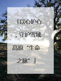 以心护心，守护雪域高原“生命之脉”
