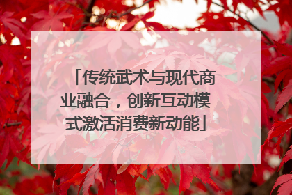 传统武术与现代商业融合，创新互动模式激活消费新动能