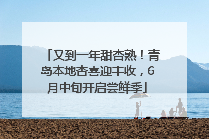 又到一年甜杏熟！青岛本地杏喜迎丰收，6月中旬开启尝鲜季
