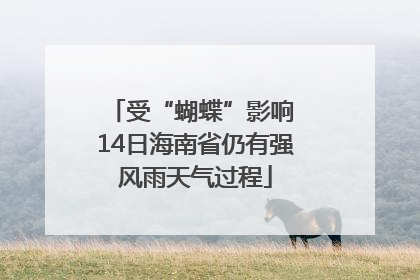 受“蝴蝶”影响 14日海南省仍有强风雨天气过程