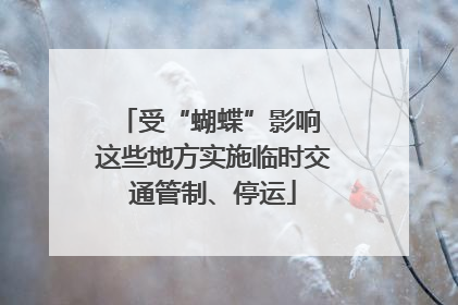 受“蝴蝶”影响 这些地方实施临时交通管制、停运