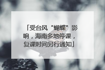 受台风“蝴蝶”影响，海南多地停课，复课时间另行通知