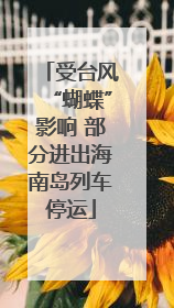 受台风“蝴蝶”影响 部分进出海南岛列车停运