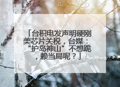 台积电发声明硬刚美芯片关税，台媒：“护岛神山”不想跪，赖当局呢？