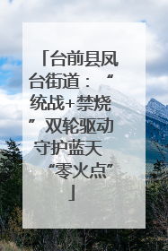 台前县凤台街道：“统战+禁烧”双轮驱动守护蓝天 “零火点”