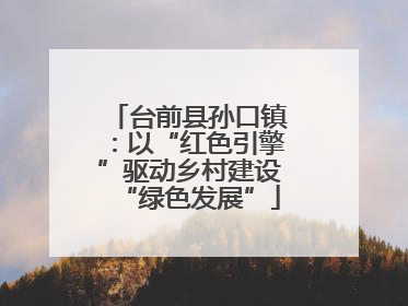 台前县孙口镇：以“红色引擎”驱动乡村建设“绿色发展”