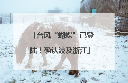 台风“蝴蝶”已登陆！确认波及浙江