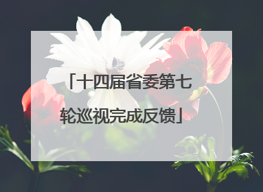 十四届省委第七轮巡视完成反馈