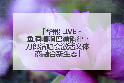 华熙 LIVE・鱼洞唱响巴渝韵律：刀郎演唱会激活文体商融合新生态