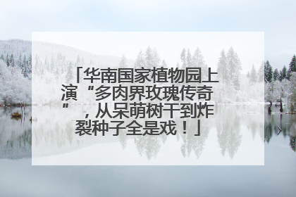 华南国家植物园上演“多肉界玫瑰传奇”，从呆萌树干到炸裂种子全是戏！