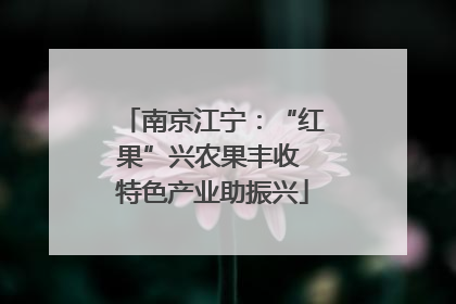 南京江宁：“红果”兴农果丰收 特色产业助振兴