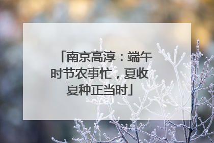 南京高淳：端午时节农事忙，夏收夏种正当时