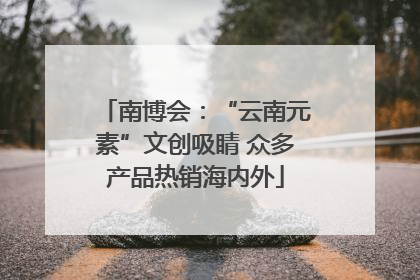 南博会：“云南元素”文创吸睛 众多产品热销海内外