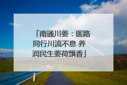南通川姜：医路同行川流不息 养润民生姜荷飘香