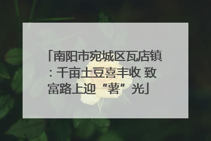 南阳市宛城区瓦店镇：千亩土豆喜丰收 致富路上迎“薯”光