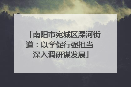 南阳市宛城区溧河街道：以学促行强担当 深入调研谋发展
