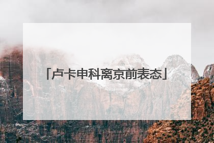 卢卡申科离京前表态