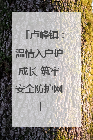 卢峰镇：温情入户护成长 筑牢安全防护网