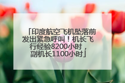 印度航空飞机坠落前发出紧急呼叫！机长飞行经验8200小时，副机长1100小时