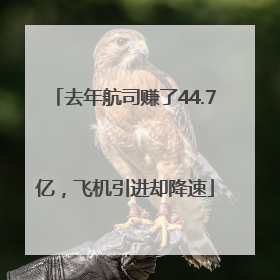 去年航司赚了44.7亿，飞机引进却降速