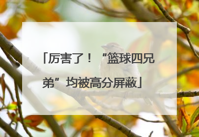厉害了！“篮球四兄弟”均被高分屏蔽