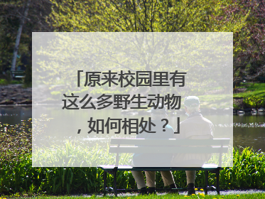 原来校园里有这么多野生动物，如何相处？